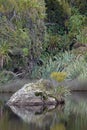 Ship Creek green lagoon rock on West Coast New Zealand